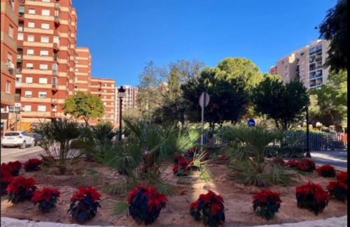 Ciutat Jardi Apartamento | Alquiler de Piso en centro de Valencia, Ideal para temporadas