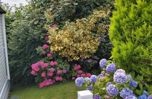 Bridport Otro | Wood Farm Holiday Park