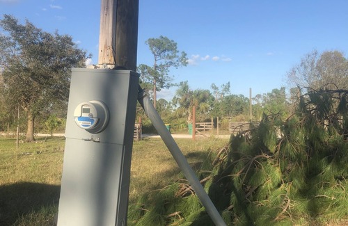 Punta Gorda Alquiler De RV | Wooded land