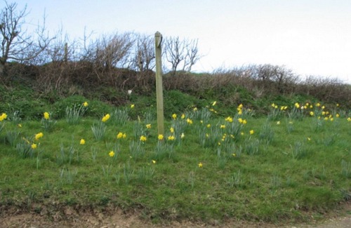 Saint Gennys Cabaña | WOODGATE - HERMOSA CASA EN LA COSTA. (Cerca de las playas y excelentes paseos)