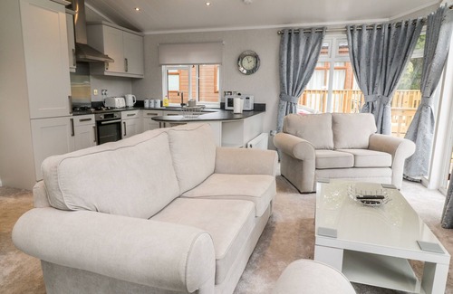 Black Torrington Cabaña | WOODPECKER LODGE, pet friendly in Sheepwash