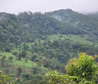 Mananthavady Complejo | Woodshade resort