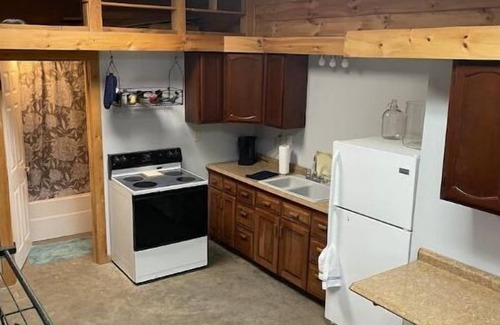 Lewis County Cabina | Woofpackshack #4