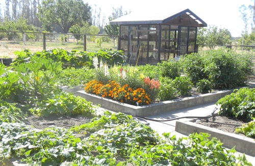 Santa Rosa Cabaña | Russian River Valley Wine Country justo fuera de su puerta!