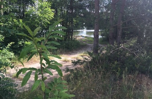 Treuenbrietzen Apartamento | Workshop 17 - Chilling & barbecuing