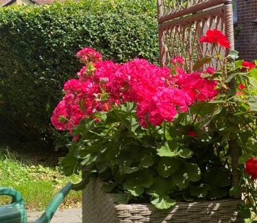 Ebersdorf Apartamento | Wunderschöne Ferienwohnung zwischen Bremen und Hamburg