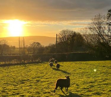 Westbrook Court Casa | Wye View Lodge, Hay View Lodges