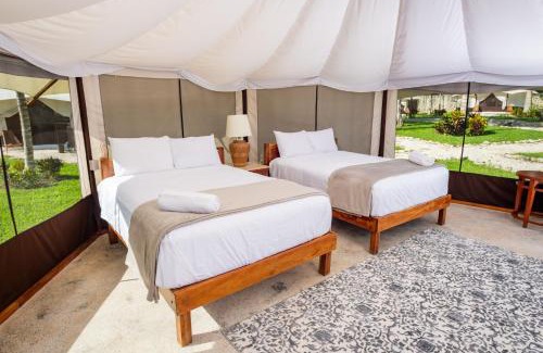 Benito Juárez Otro | Xakluum Eco Glampings