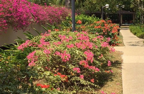 Bedok Condominio | Xxxxxxxxxxxxx