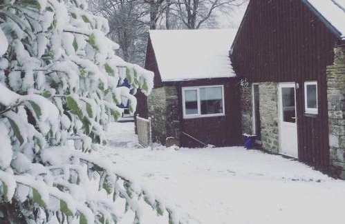 Tan-y-groes Casa | Y Boidy Bach