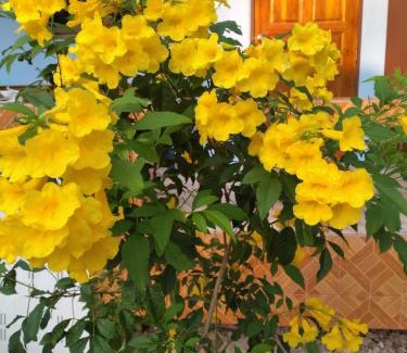 Khlong Khut Complejo | Yahle Villa เยห์เล่วิลล่า