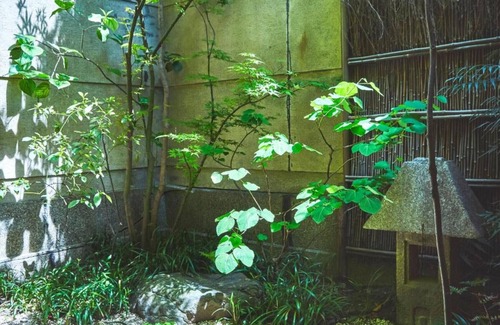 Gion Chalet De Esquí | Yasaka no Yado / A cute traditional Japanese house