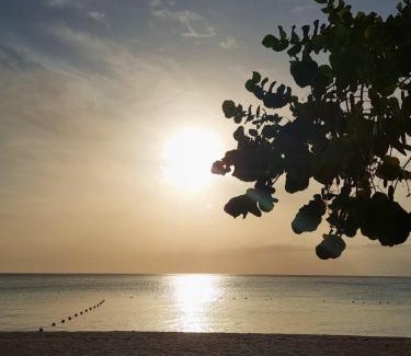 Negril Hotel | Yellow Bird Sea