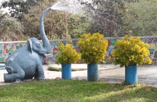 Zirad Complejo | Yellow House