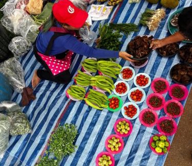 Mueang Ngai Otro | Yidan Farmstay in Chiang Dao