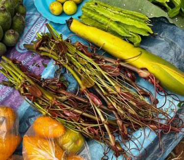 Mueang Ngai Otro | Yidan Farmstay in Chiang Dao