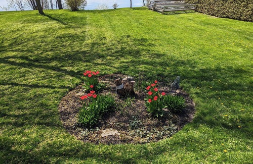 Ramara Casa | Your perfect waterfront getaway for 4 season. Near Casino Rama and Moonstone Ski