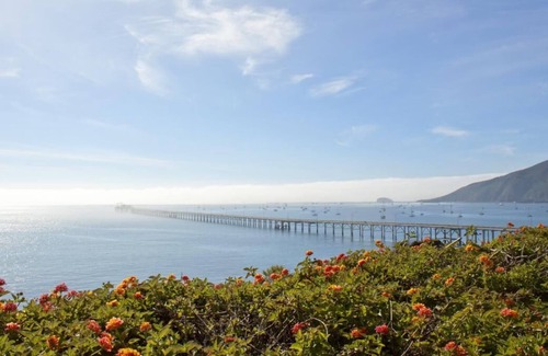 Avila Beach Complejo | Your Relaxing Getaway Awaits! Free Parking, Onsite Swimming Pool