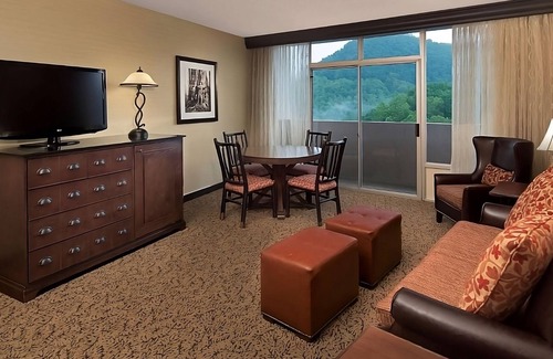 Gatlinburg Hotel | Your Stylish Gatlinburg Getaway! Swimming Pool, Pets Allowed!