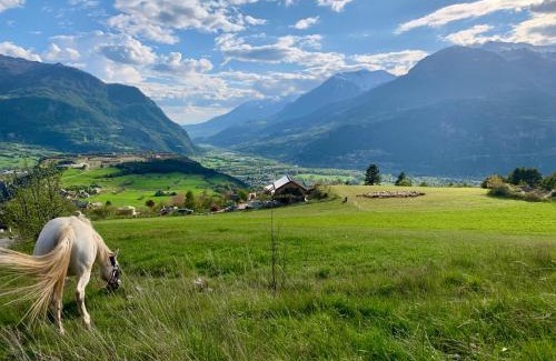 Eygliers Otro | Yourte au coeur des Alpes