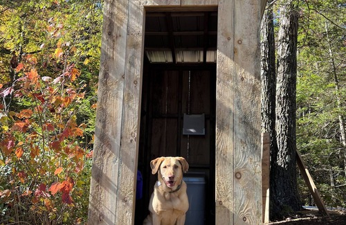 Hinsdale Alquiler De RV | Yurt Oasis in the woods of Hinsdale, NH
