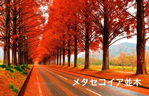 Nagahama Apartamento | YURURIBASE 凛 in Nagahama contactless checkin