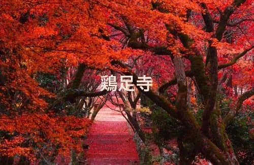 Nagahama Apartamento | YURURIBASE 凛 in Nagahama contactless checkin