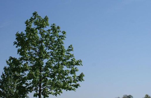 Kapelln Hotel | Zöchbauer Gästehaus - Hotel Garni