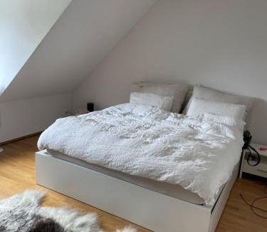 Wipkingen Apartamento | Zürich 3 Zimmer Wohnung mit Dachterrasse