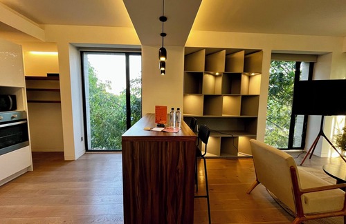 Roma Norte Apartamento | Zacatecas 502 by Wynwood House