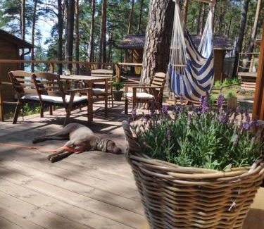 gmina Karsin Casa | Zakątek Wdzydze z widokiem na jezioro -domek nr 19