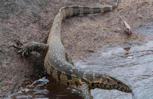 Jozini Casa | Zamajobe Farmhouse