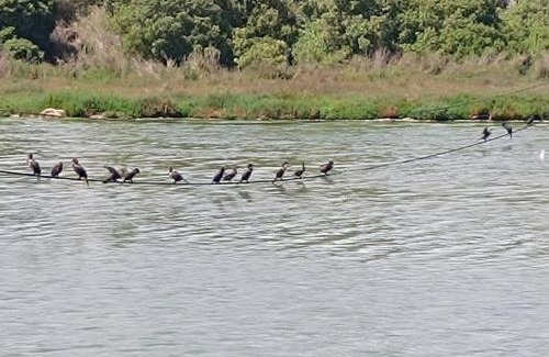 La Laguna Casa | Zapallar Laguna Y Mar a una cuadra playa maitencillo