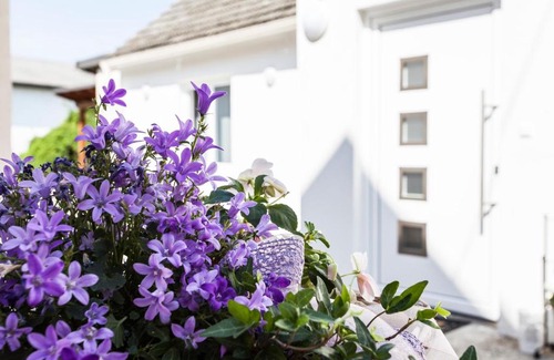 Illmitz Casa | Zehentner - Wein & Feriendomizil