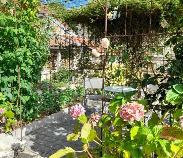 Bologne Casa | Zelda