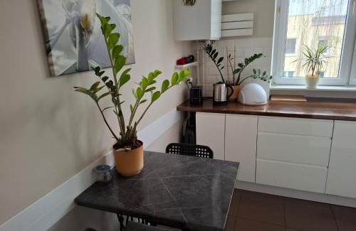 Bielany Apartamento | Zeromskiego Apartment - Warsaw