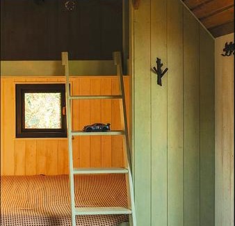 Jantar Complejo | Zielona Przystań