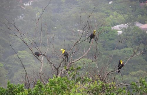 El Valle de Anton Casa | Ziruma