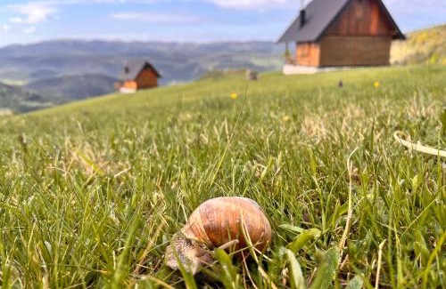 Zlatibor Casa | Zlatarski raj