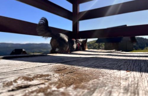 Zlatibor Casa | Zlatarski raj