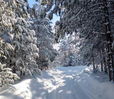 Zlatibor Apartamento | Zlatiborski biser