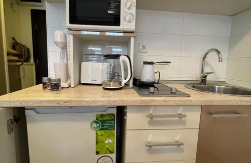 Zlatibor Apartamento | Zlatiborski konaci 20