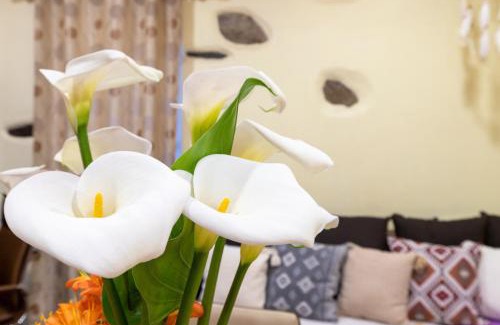 Kantanos-Selino Apartamento | Zois Stone House