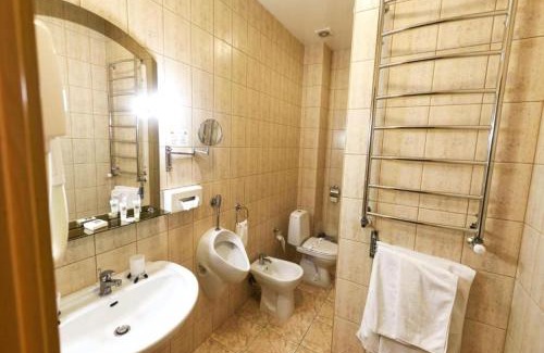 Stryi Hotel | Zoloto Karpat