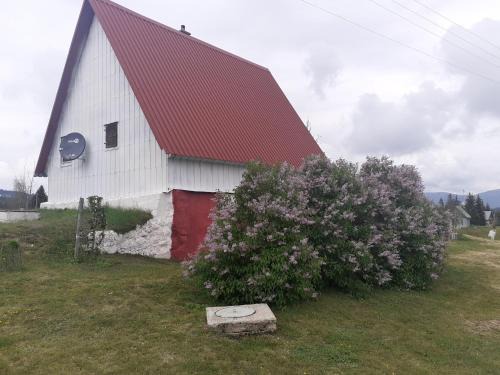 Žabljak izdavanje kuce