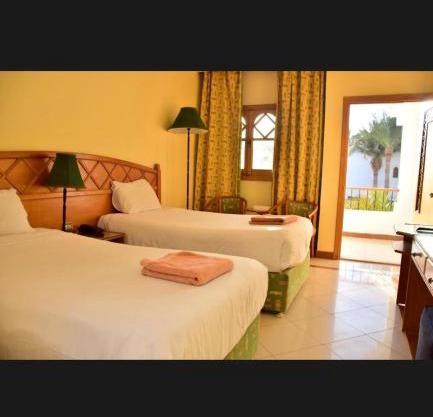 دايف ان ريزورت - شرم الشيخ