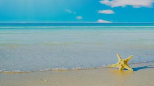 شقه غرفتين لك ب الكامل