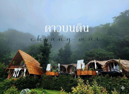ดานบนดินCamping