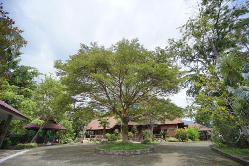 บ้านด้วงขวัญดอยรีสอร์ท