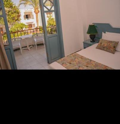 دايف إن ريزورت